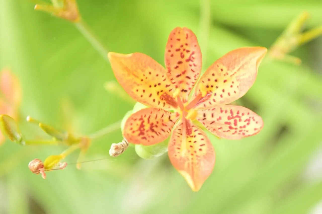 Pousada Jardim Das Bromelias 포르투세구로 여관